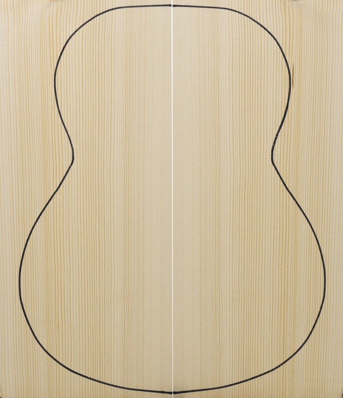 Sitka Spruce, Engelmann Spruce & Swiss Moon Spruce Comparison.  Everything You Need To Know - Richards Guitars Of Stratford Upon Avon