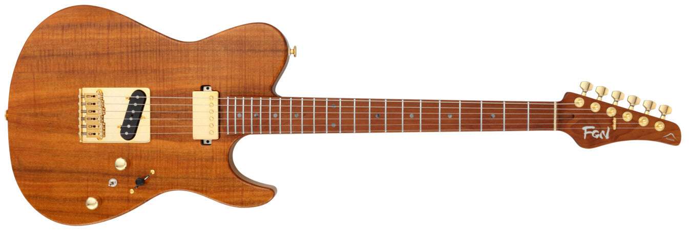 FGN Guitars Expert Iliad VNT Vintage Natural, chitarra elettrica in vendita da Richards Guitars.