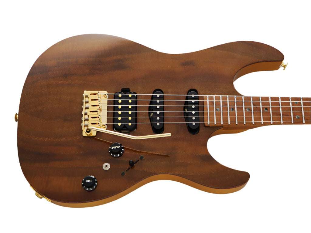 FGN Guitars Expert Odyssey VNT Vintage Natural, chitarra elettrica in vendita presso Richards Guitars.
