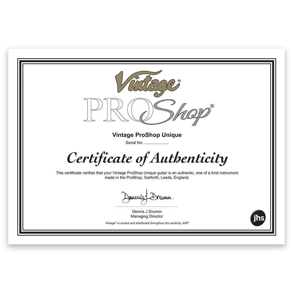 IN BUILD: - Vintage VSA500 ProShop Unique ~ Gloss Black with Bigsby, Electric Guitar for sale at Richards Guitars.