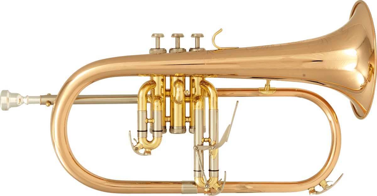 Bugle - Bb