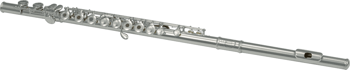 Flute (Entry Level) - C