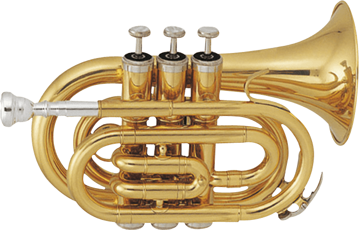 Pocket Trumpet - Bb
