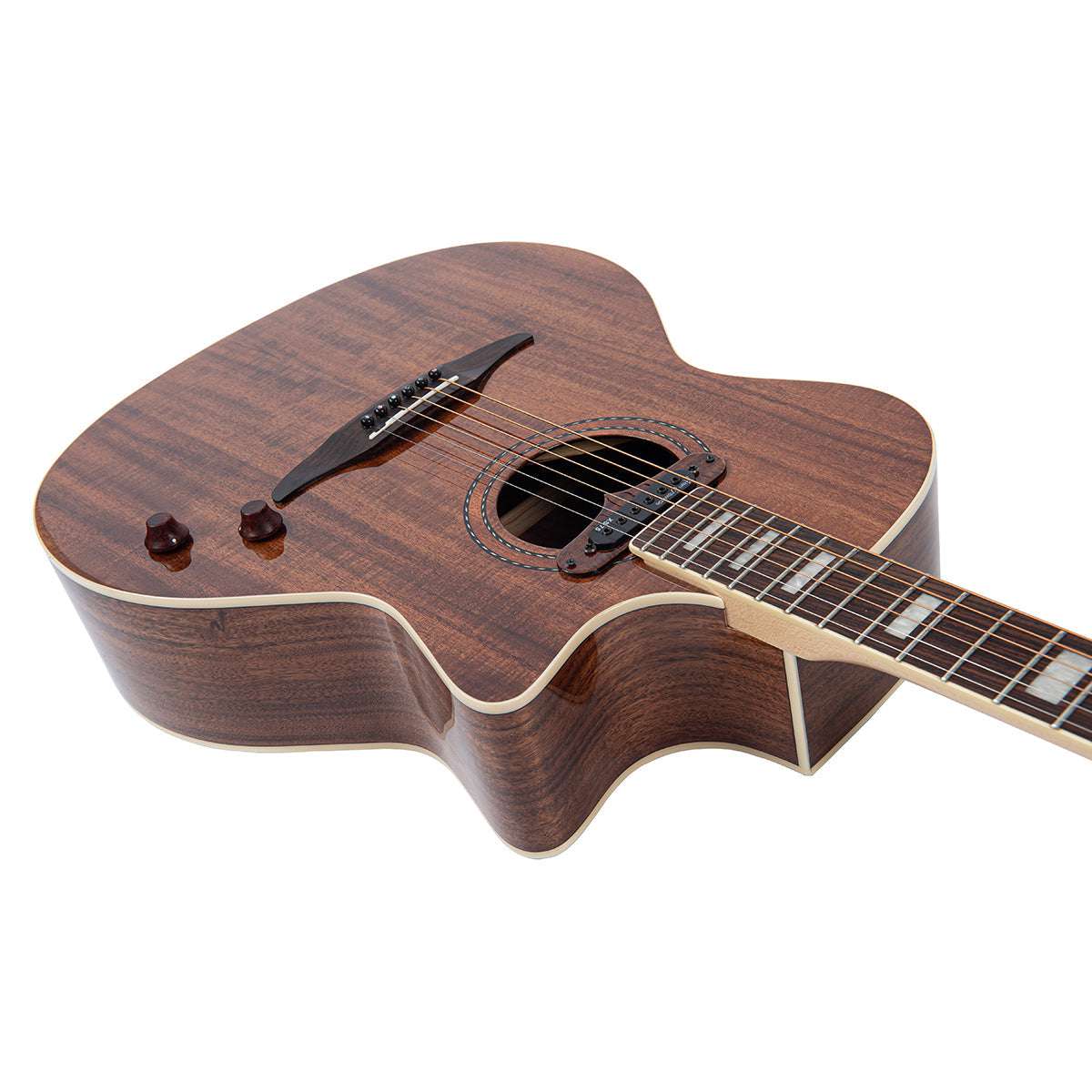 Chitarra elettroacustica vintage REVO ELEKTRA ~ Acacia Silk, in vendita presso Richards Guitars.