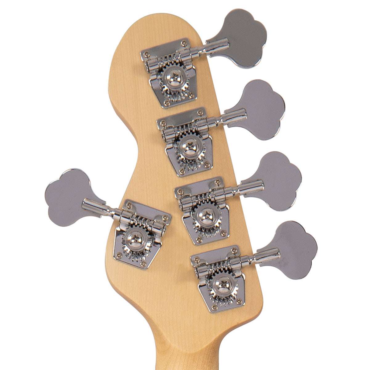 Vintage V495 Coaster Series 5-String Bass Guitar Pack ~ Boulevard Black, Bass Guitar Packs for sale at Richards Guitars.