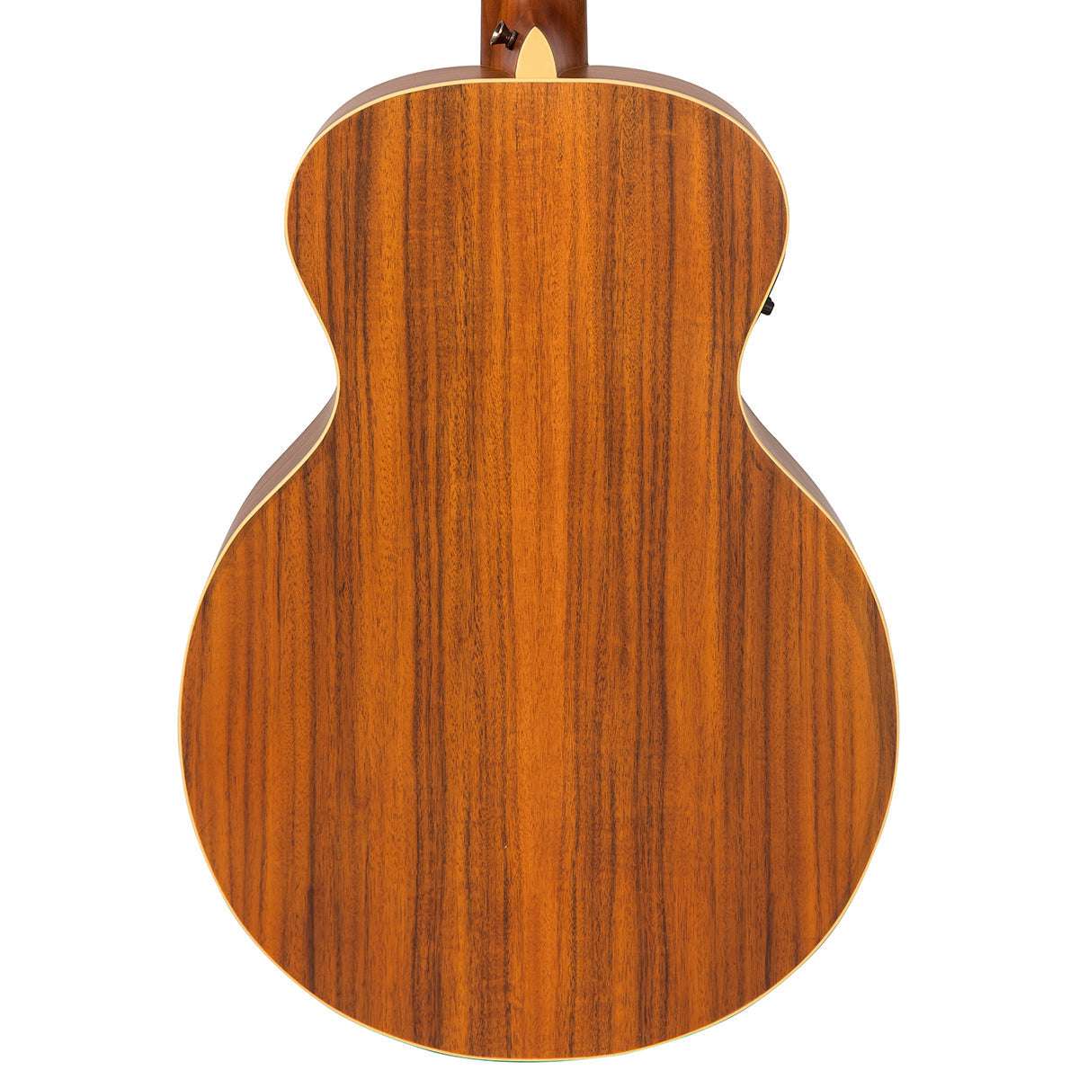 Chitarra elettroacustica vintage VRA900EA 'Raven' Paul Brett ~ Satin Black, Chitarra elettroacustica in vendita presso Richards Guitars.