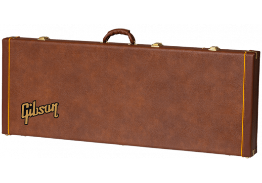 AGA ASEXPCASE - ORG - Richards Guitars Of Stratford Upon Avon