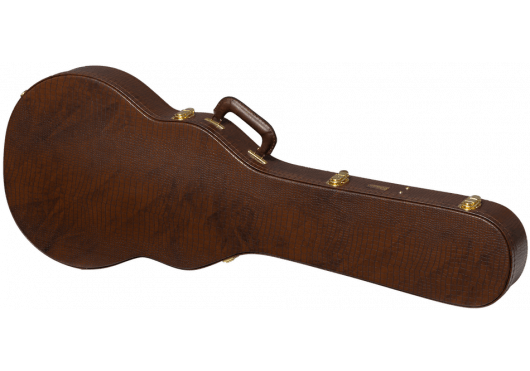 AGA ASLFTCASE - GTR - LPJ - Richards Guitars Of Stratford Upon Avon