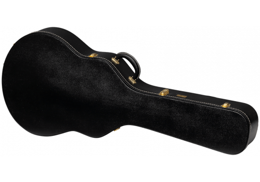 AGA ASLFTCASE - PB - 335 - Richards Guitars Of Stratford Upon Avon