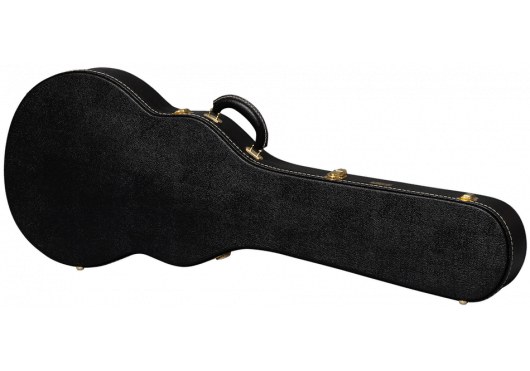 AGA ASLFTCASE - PB - LPS - Richards Guitars Of Stratford Upon Avon
