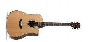 AUDEN ROSEWOOD SERIES – COLTON SPRUCE CUTAWAY - Richards Guitars Of Stratford Upon Avon