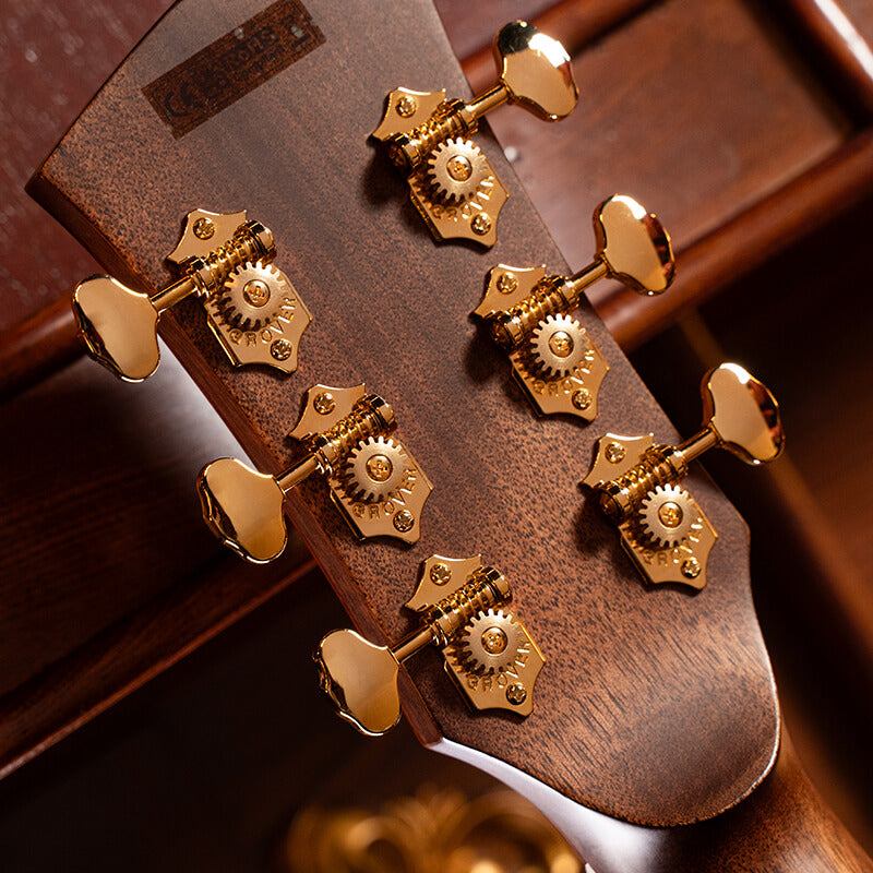 Cort Gold A10 Cocobolo Electro Acoustic Guitar
