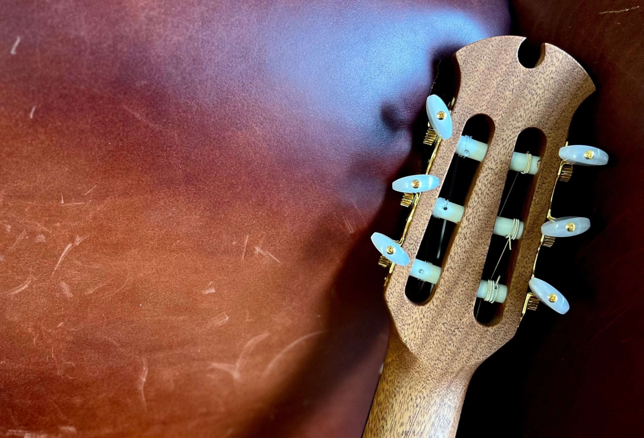 Dowina Rosewood (Ceres) HC Hybrid Nylon String Cutaway - Richards Guitars Of Stratford Upon Avon