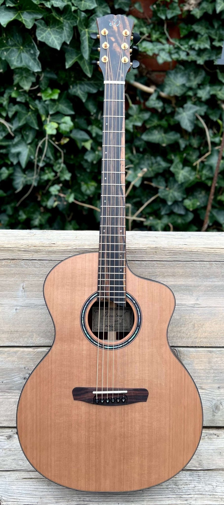 Dowina Rosewood GAC - Richards Guitars Of Stratford Upon Avon