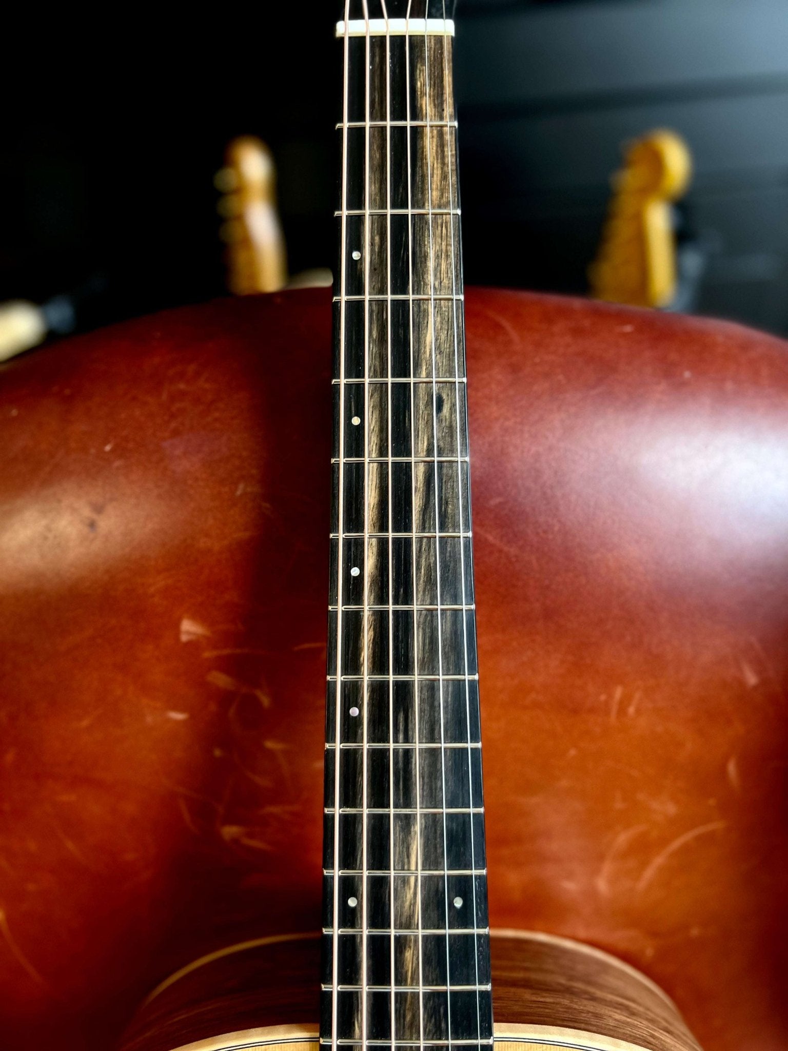 Dowina Walnut OMG Deluxe (Torrified Semi - Gloss Swiss Moon Spruce) - Richards Guitars Of Stratford Upon Avon