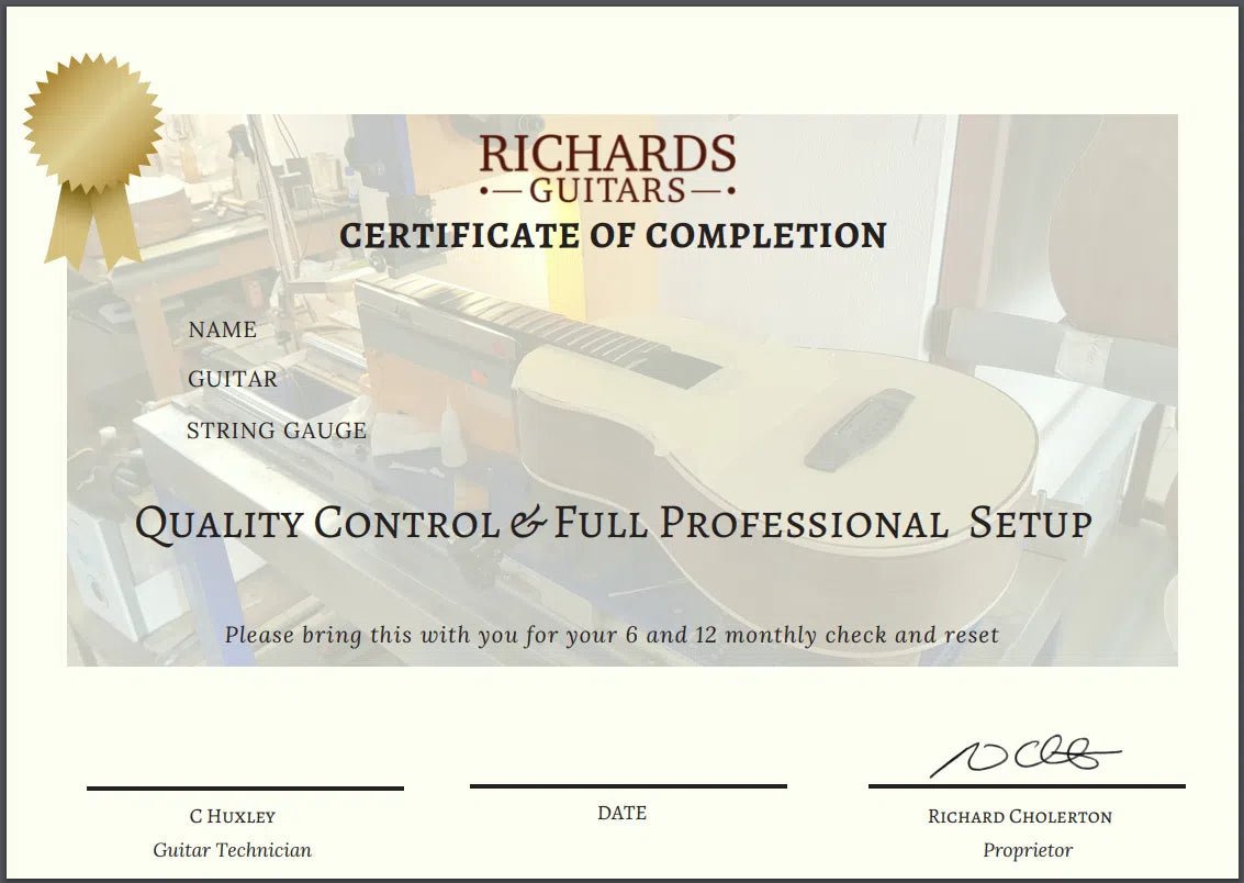 Eastman DM2/v (Price inc. Custom Pro Setup Package) - Richards Guitars Of Stratford Upon Avon