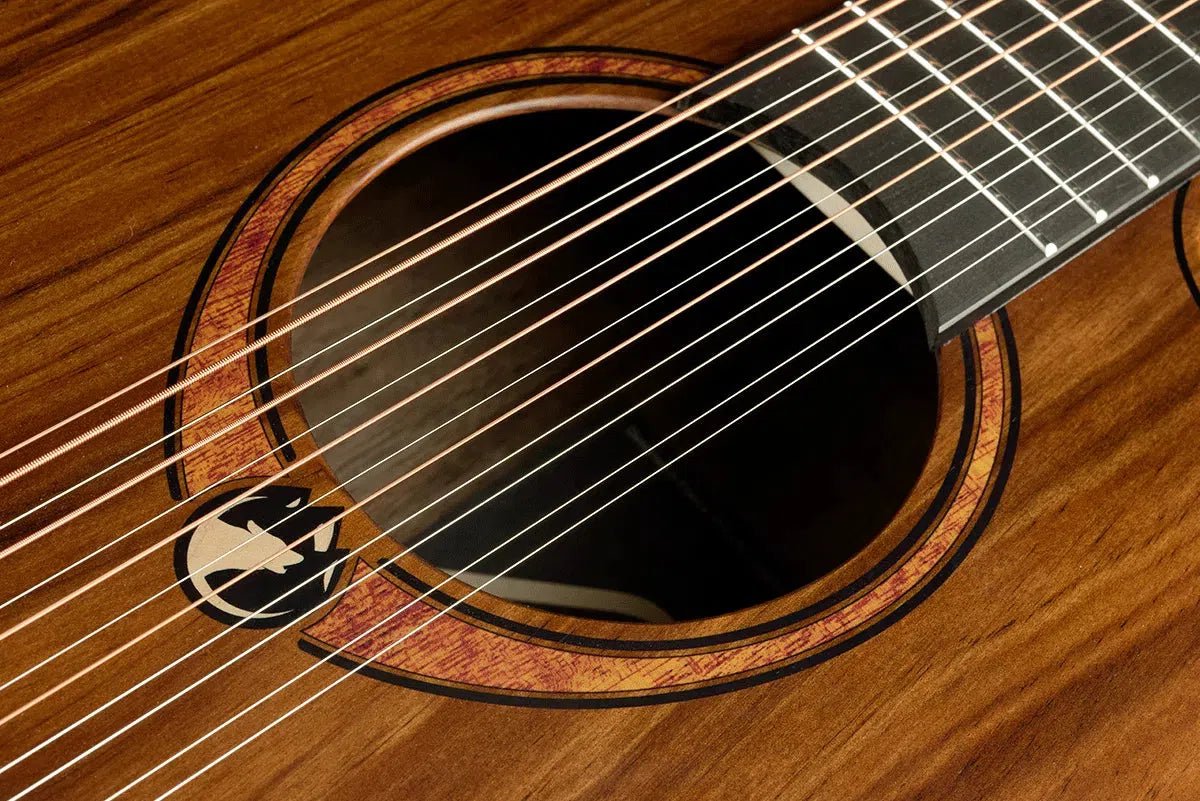 LAG Sauvage Jumbo 12 Strings Cutaway Acoustic - Electric - Richards Guitars Of Stratford Upon Avon
