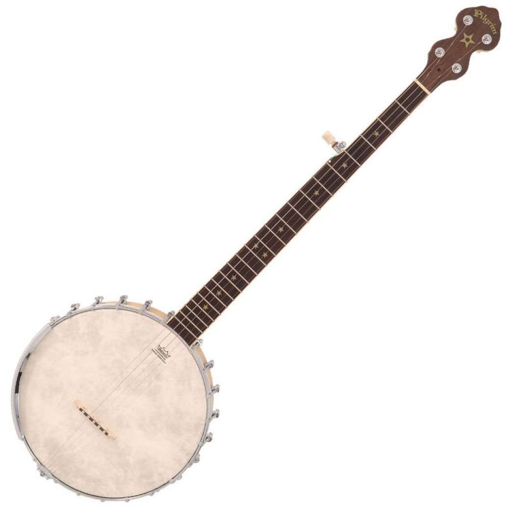 Vintage* VPB007, Banjo for sale at Richards Guitars.