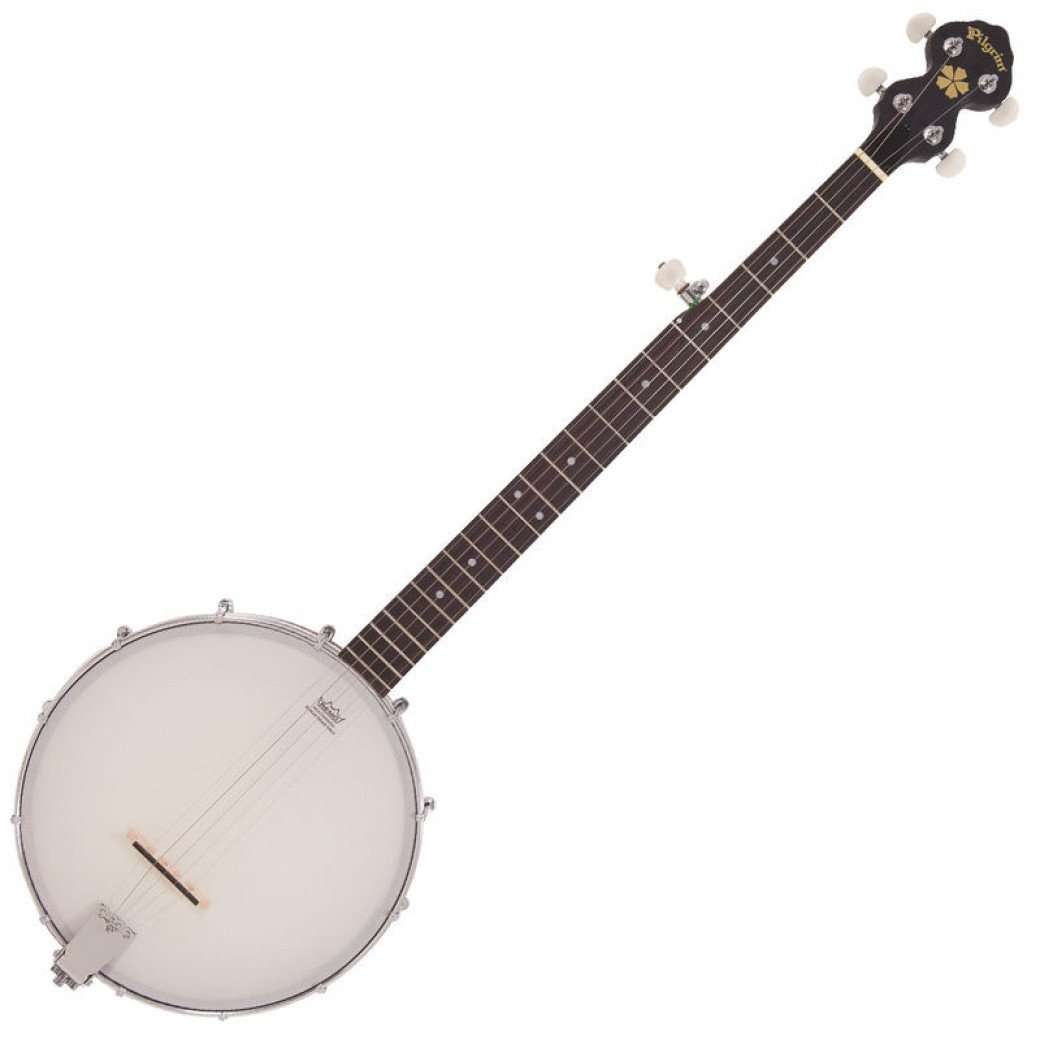 Vintage* VPB12, Banjo for sale at Richards Guitars.
