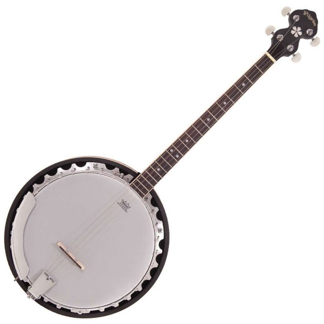 Vintage* VPB35T, Banjo for sale at Richards Guitars.